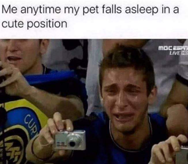 a_gingey's tweet photo. Literally me. 😂 https://t.co/Z2u32eAEqA