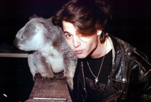 jenny_trujillo_'s tweet photo. 😍😍😘🐨 https://t.co/9jdWr9Ubsb