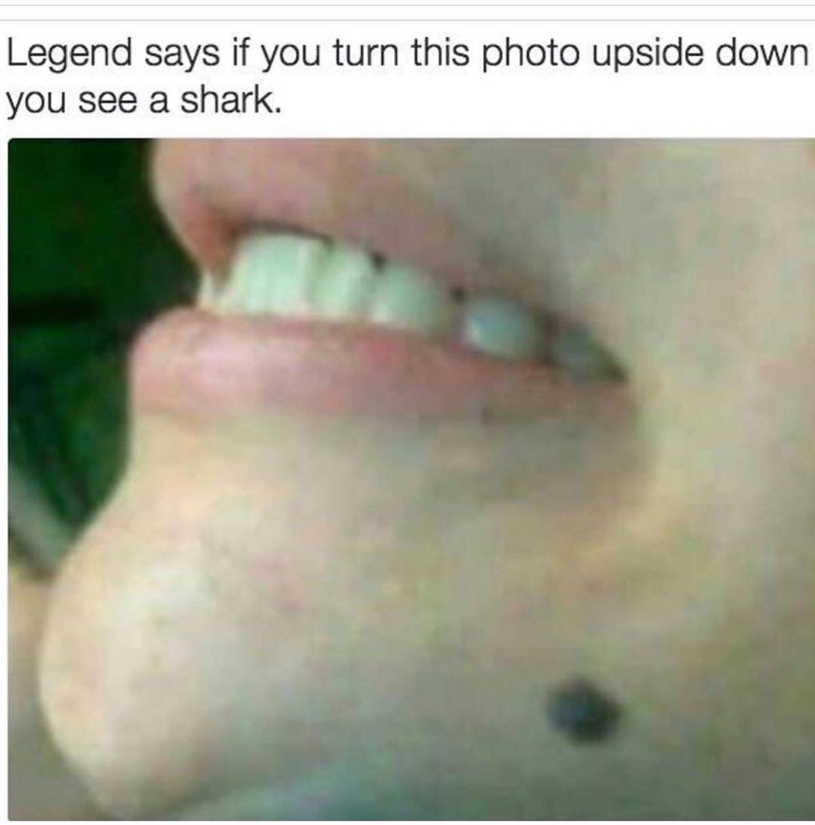 still can't stop laughing