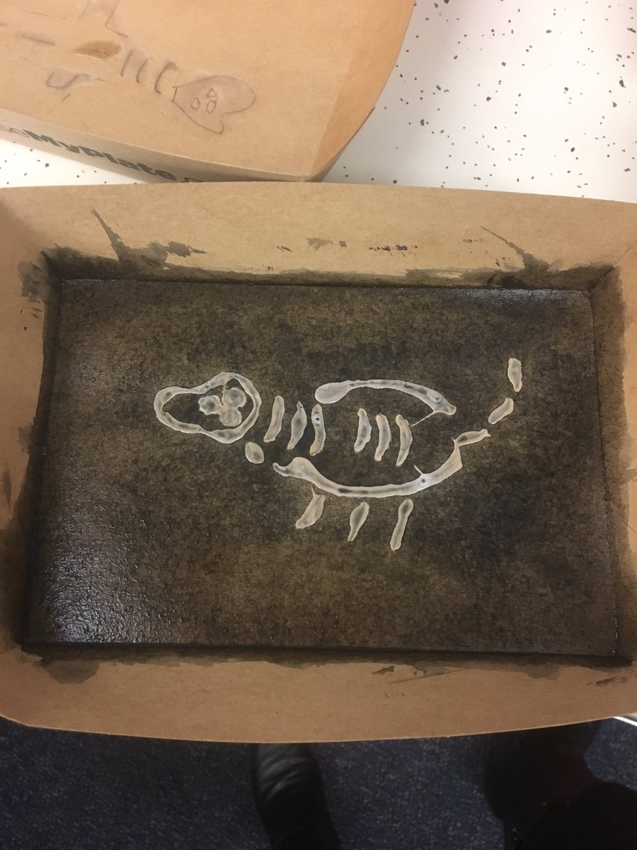 Suzy Kingsley tweet media