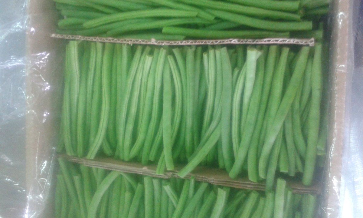 markgrown's tweet image. Fresh from our packhouse
