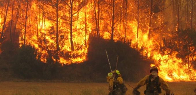 caritaschileorg's tweet photo. Caritas lanza campaña “Con tu fuerza y nuestro compromiso” en apoyo a comunidades afectadas por incendios
https://t.co/qfedcUvJDV https://t.co/sTGObKKa2W