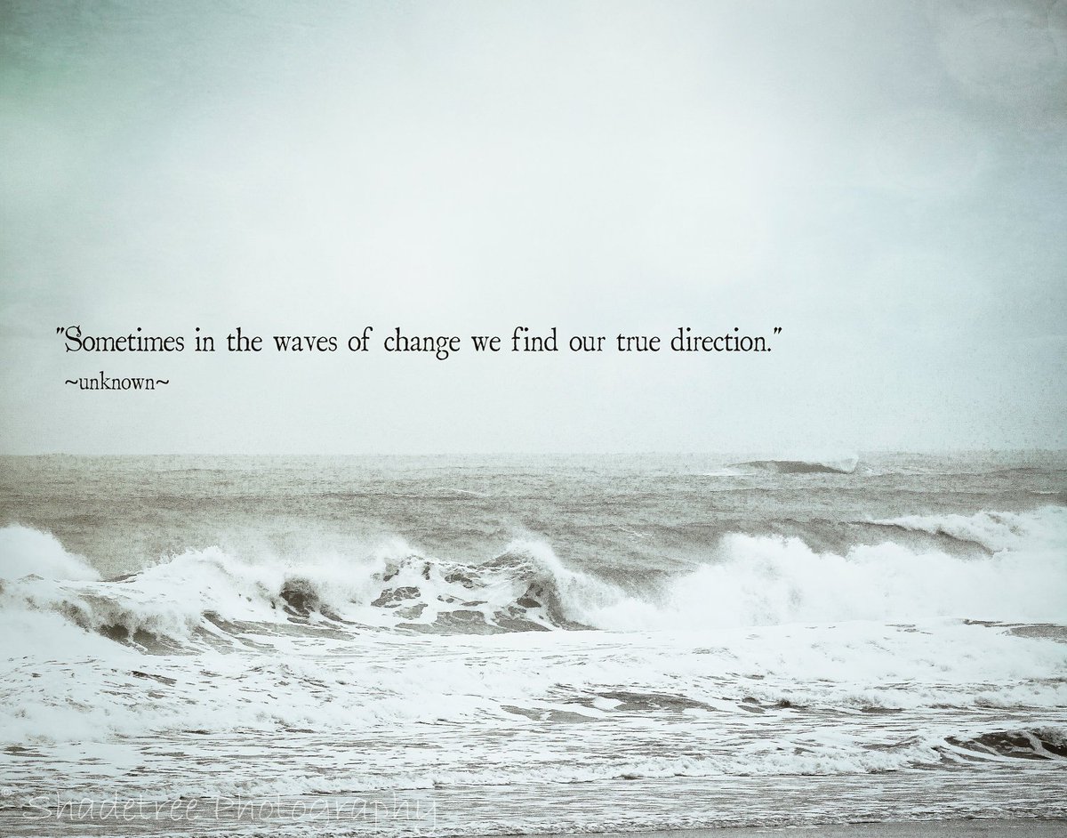 HelenTheShark's tweet photo. #IHandleChangeBy using it to find a better direction. And more fish. <:D https://t.co/25XmFwg1aw
