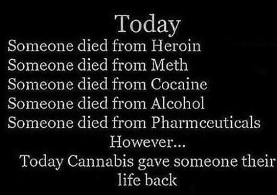 #HappyMonday #MondayMOTAvation #Marijuana #StayLifted #StayGreen 🍃🍃🍃🍃