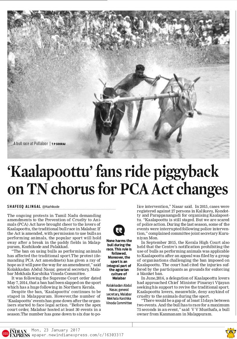 Shafeeq_TNIE's tweet image. #Kaalapoottu fans ride piggyback on TN's chorus for #PCAAct changes
#jallikattu 
newindianexpress.com/states/kerala/…