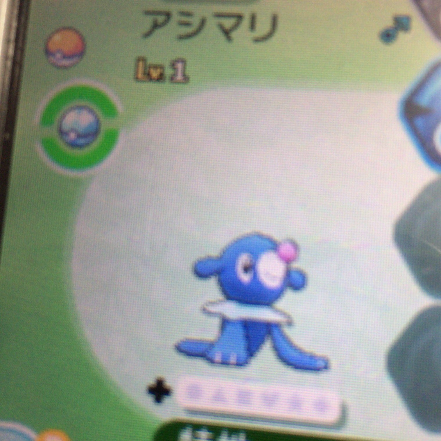 K ポケモン ライダー 2月は戦隊 ダイブボール入りのアシマリが流れて来たんですが これって可能 たまごグループが同じなら遺伝可能になったのかな サンムーン ポケモンsm Pokemon T Co K54c0uwkap Twitter