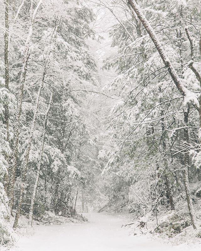 OrchardsH's tweet photo. "Kindness is like snow—It beautifies everything it covers." - Kahlil Gilbran #intherberkshires #MAWinter ❄️ 📷: @tomcurry4 https://t.co/RRjY4JI9a1