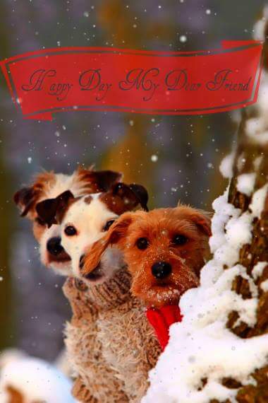 Samira Mubarak tweet media