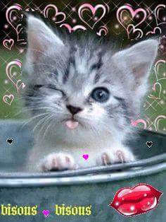 Samira Mubarak tweet media