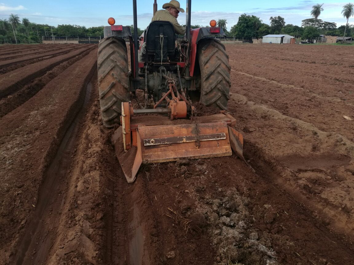 juancbaruja's tweet image. Prioridad del Pdte. @Horacio_Cartes es asistir: preparación de #2has p/ siembra de #Tomate y #Frutilla en Compañía Ñuatí, Comité #HuguaPyta