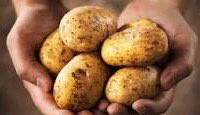 NicPandolfi's tweet photo. Win, a certified #safe #Suffolk potato on #DrivetimewithNick @town102 this afternoon. https://t.co/TQbkvBc9GF