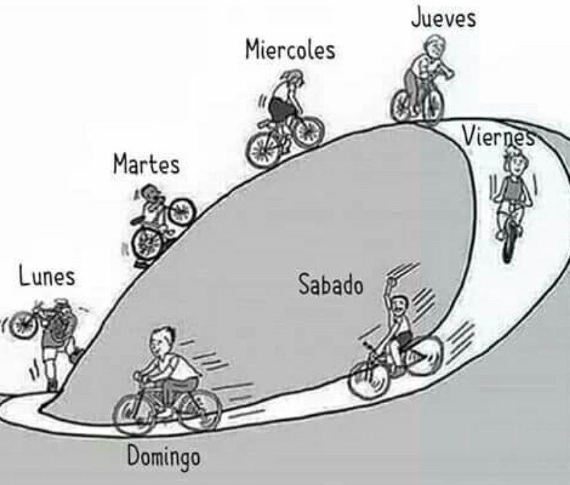 felipeortega0's tweet photo. El famoso ciclo semanal. https://t.co/Jsj1rjPprm