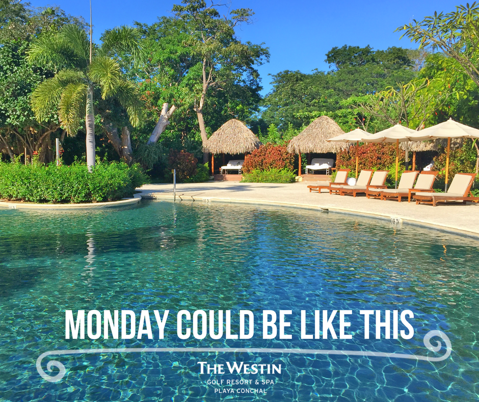 WestinConchal's tweet photo. Mondays with no worries at Westin Playa Conchal! #CostaRica #Travel #MondayMorning https://t.co/8Kys1Y14he
