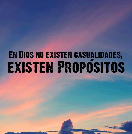 FOglaniel's tweet image. 