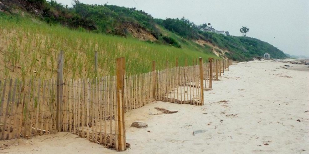 MassCZM's tweet photo. Read how #SandFencing, artificial dunes, and #NativePlants can reduce #CoastalErosion: https://t.co/0ZtaDkWxy0 https://t.co/SPbDmbmxcJ