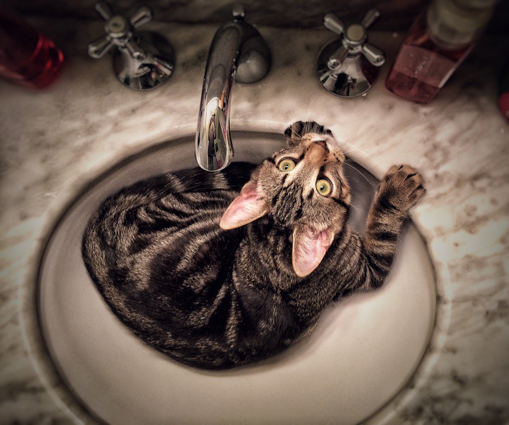 closedoordesign's tweet photo. Don't you even think about turning that tap on. https://t.co/5E7zIKQilt