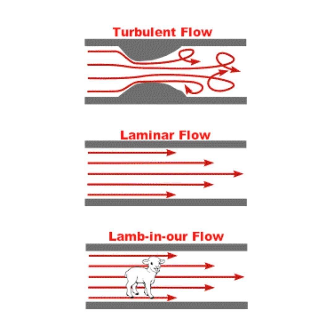 bumpy flight getting down to NOLA for #instint2017 . Pilot forgetting to watch out for aeronautical fundamentals: watch out for lambs