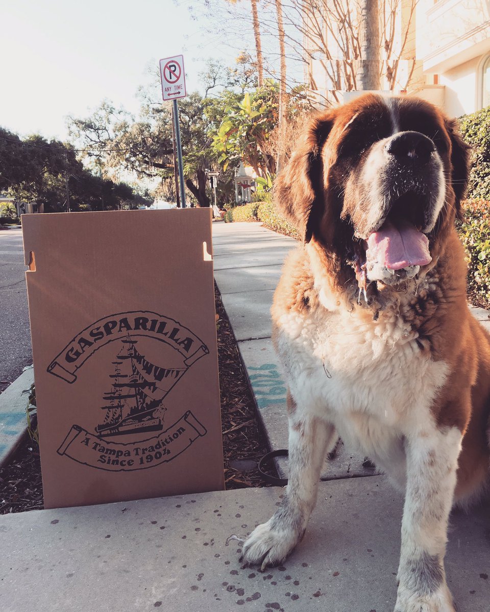 Gasparilla: providing receptacles for doggy-doo since 1904 🐶💩#Gasparilla #YMKG #HydeParkPups