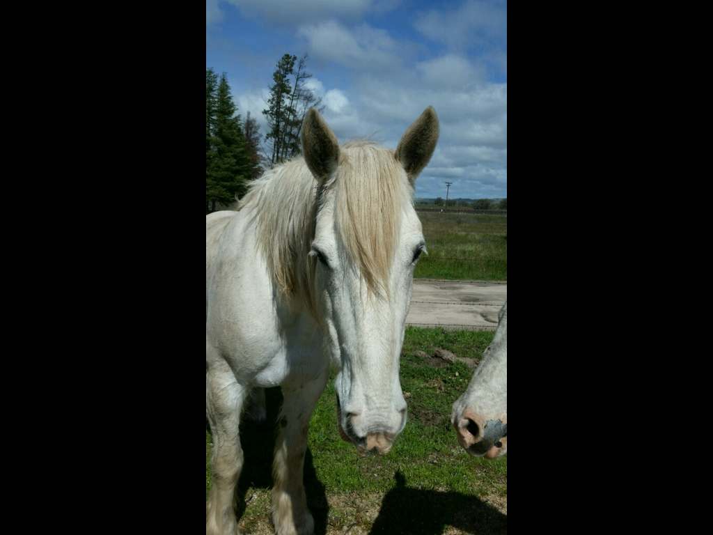 CC Trailrides tweet media