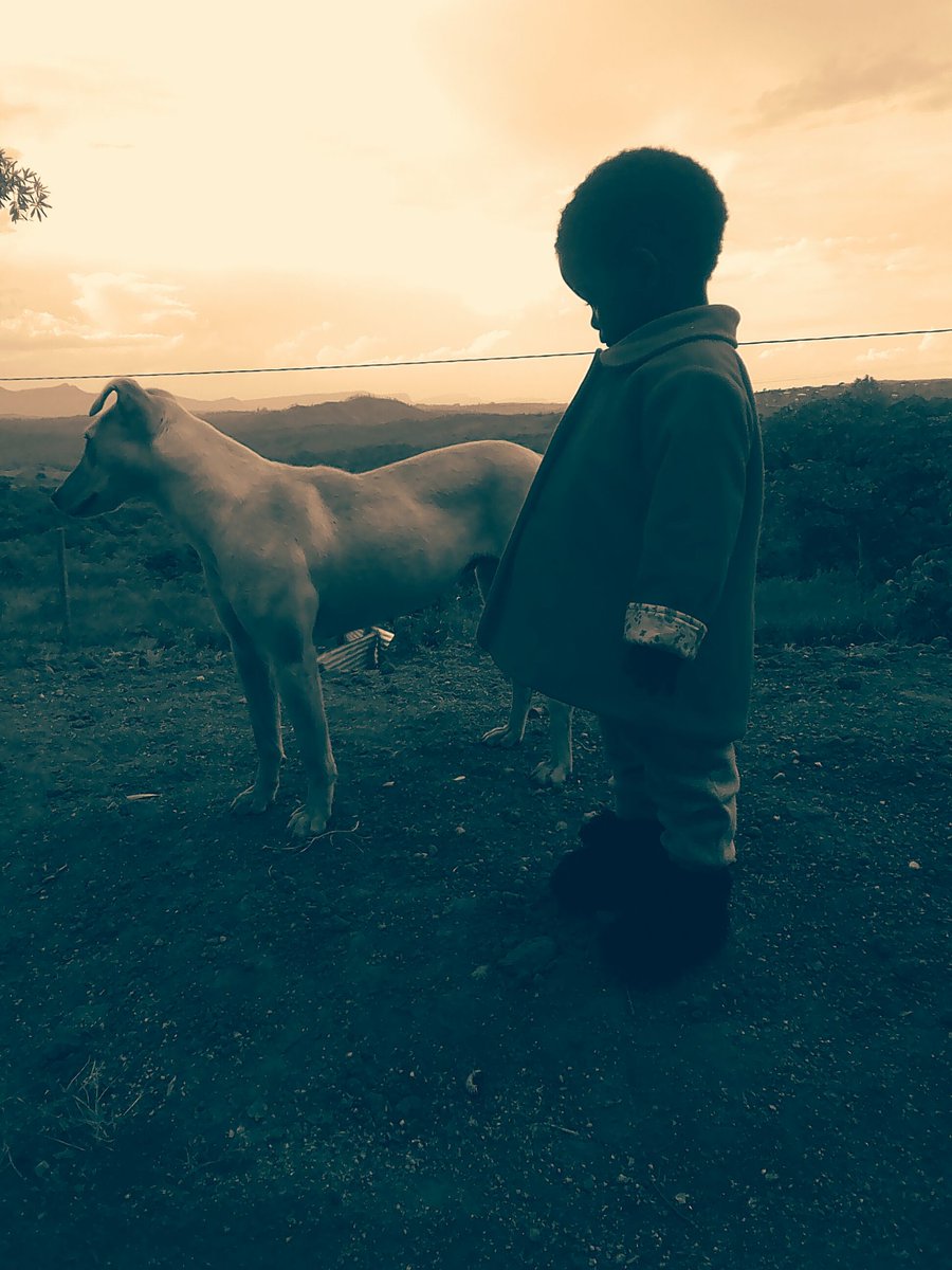 DestroMakhiya6's tweet image. We come from a place where No one really gives a Fvck about dreamz,its about Survival
#6two6