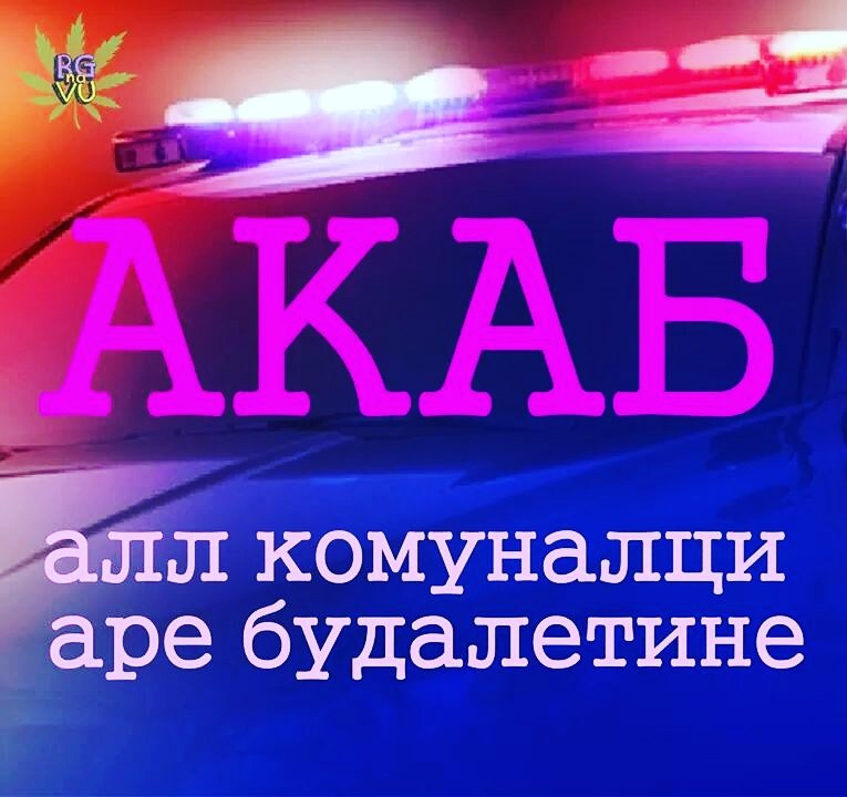 BGnaVU's tweet photo. Ic fani bikoz ic tru! 
#istina #komunalci #policija #beograd #vutra #budale https://t.co/Xygv2D8WJi