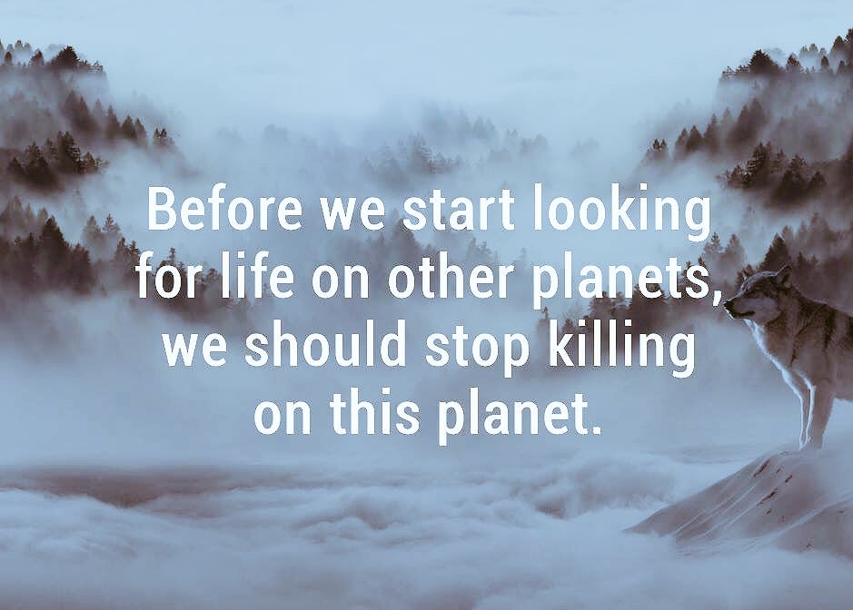 isf_queretaro's tweet photo. #ChangeMakers #compassion #love #respect @IS_Foundation @ISFCrews Happy Monday to all! #ISFFamily 🌎🍃🐒💚 https://t.co/3hqMw7RRdZ