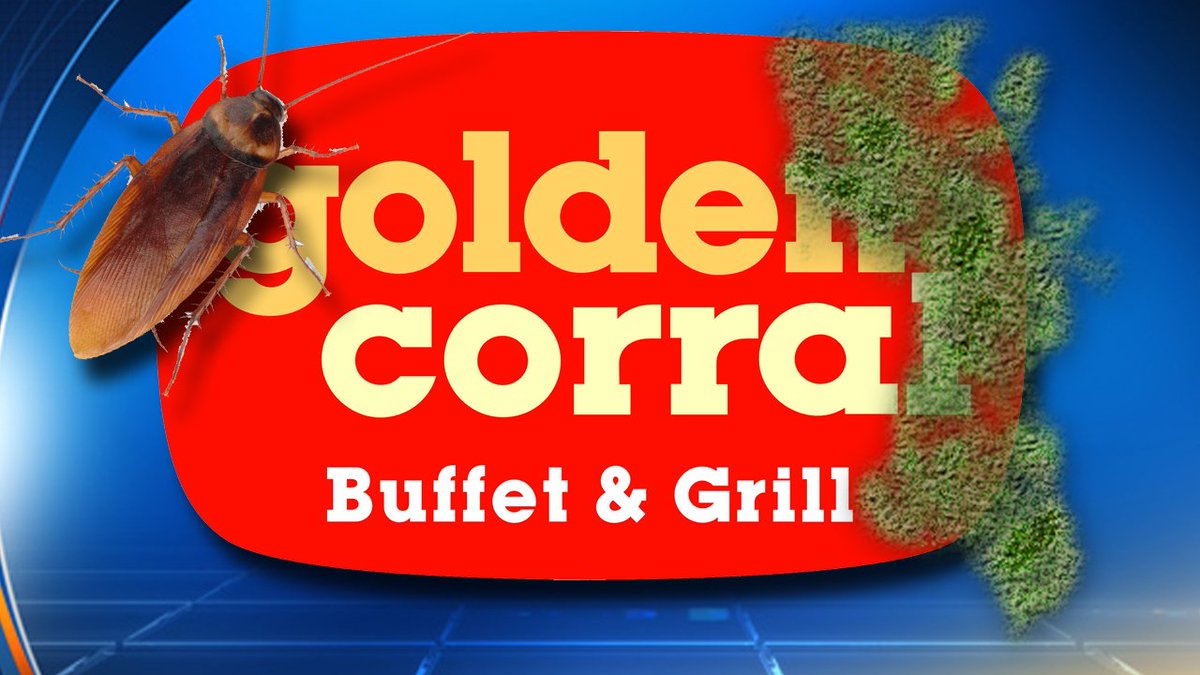 S. Fla. #GoldenCorral ordered shut due to roaches & mold. Check out entire #DirtyDining list bit.ly/2jp6WFz https://t.co/0zmVCK0jMy