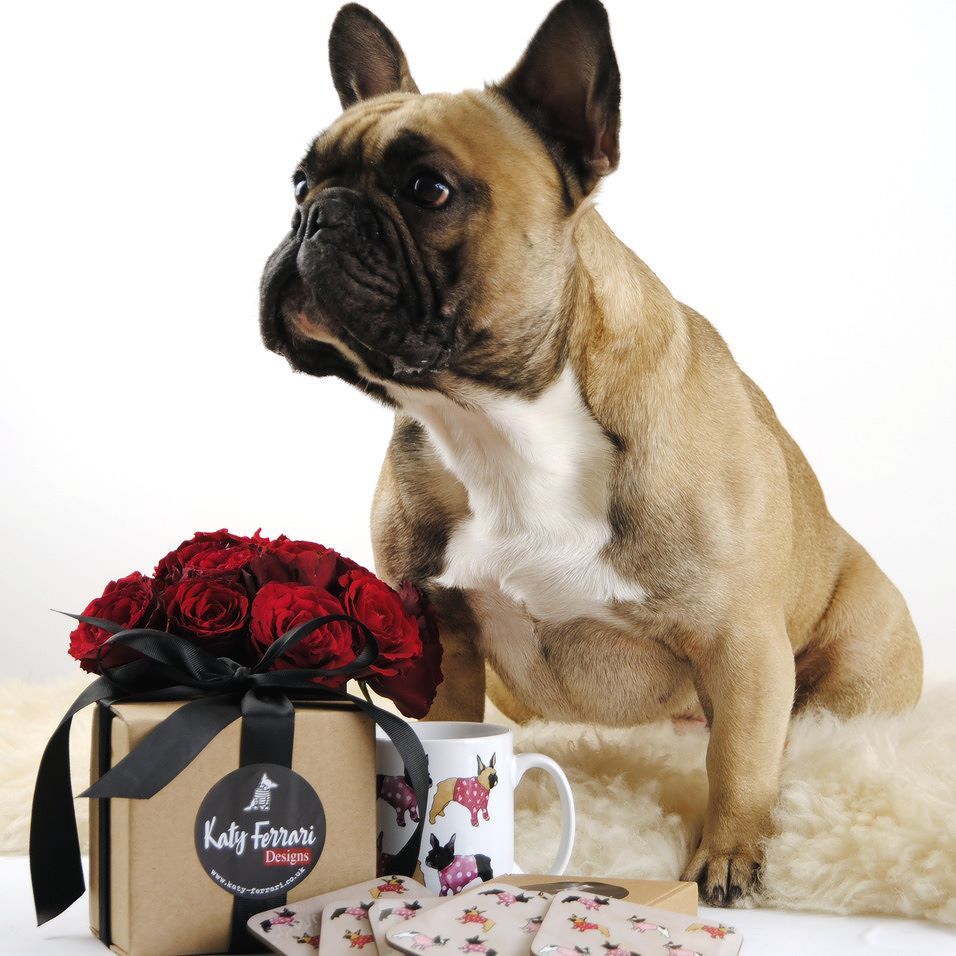 Nailed it!!! Something soft for my little Frenchie bottom was all I was asking for! #frenc… ift.tt/2jpnqgX