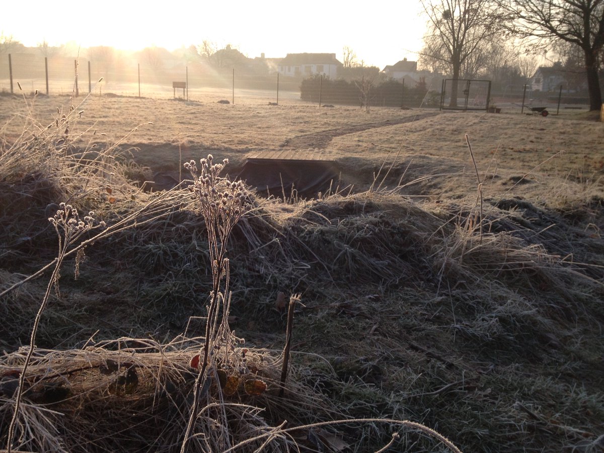 GG_Whitehall's tweet photo. Stunning, frosty start &amp; a hugely productive day in the #wildlife area! Huge thanks #GreenGym #volunteers (join info: gg-bromley@tcv.org.uk) https://t.co/A9FcmdPQNk