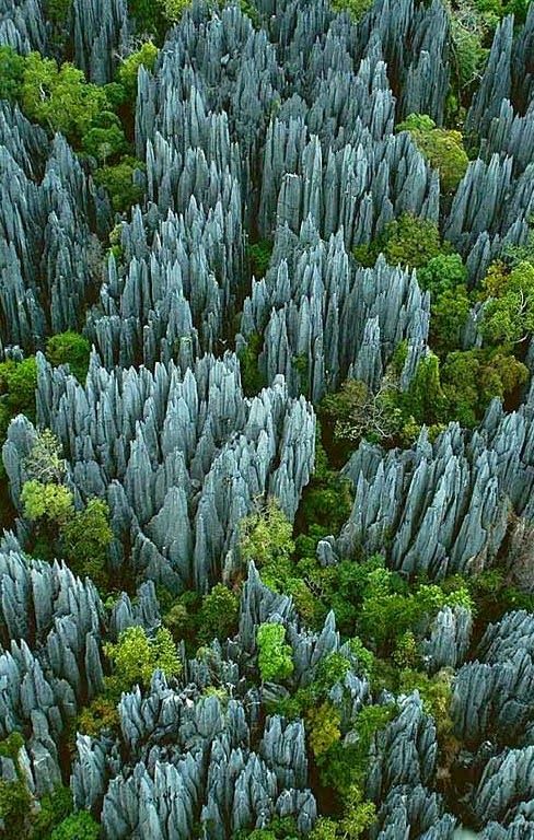 EsMexico's tweet photo. #Bemaraha #NationalPark, #Madagascar Vía #AlAire_Libre #QuieroViajarMx https://t.co/ccskeeeFc5