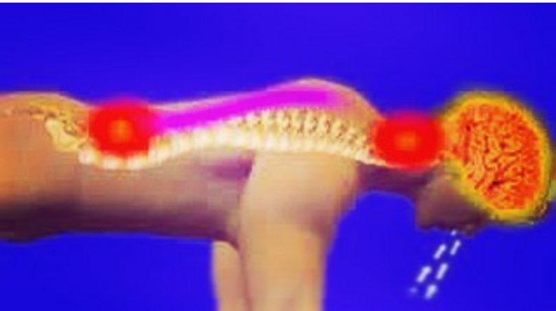 andrew farrago chiropractor andrew farrago chiropractor