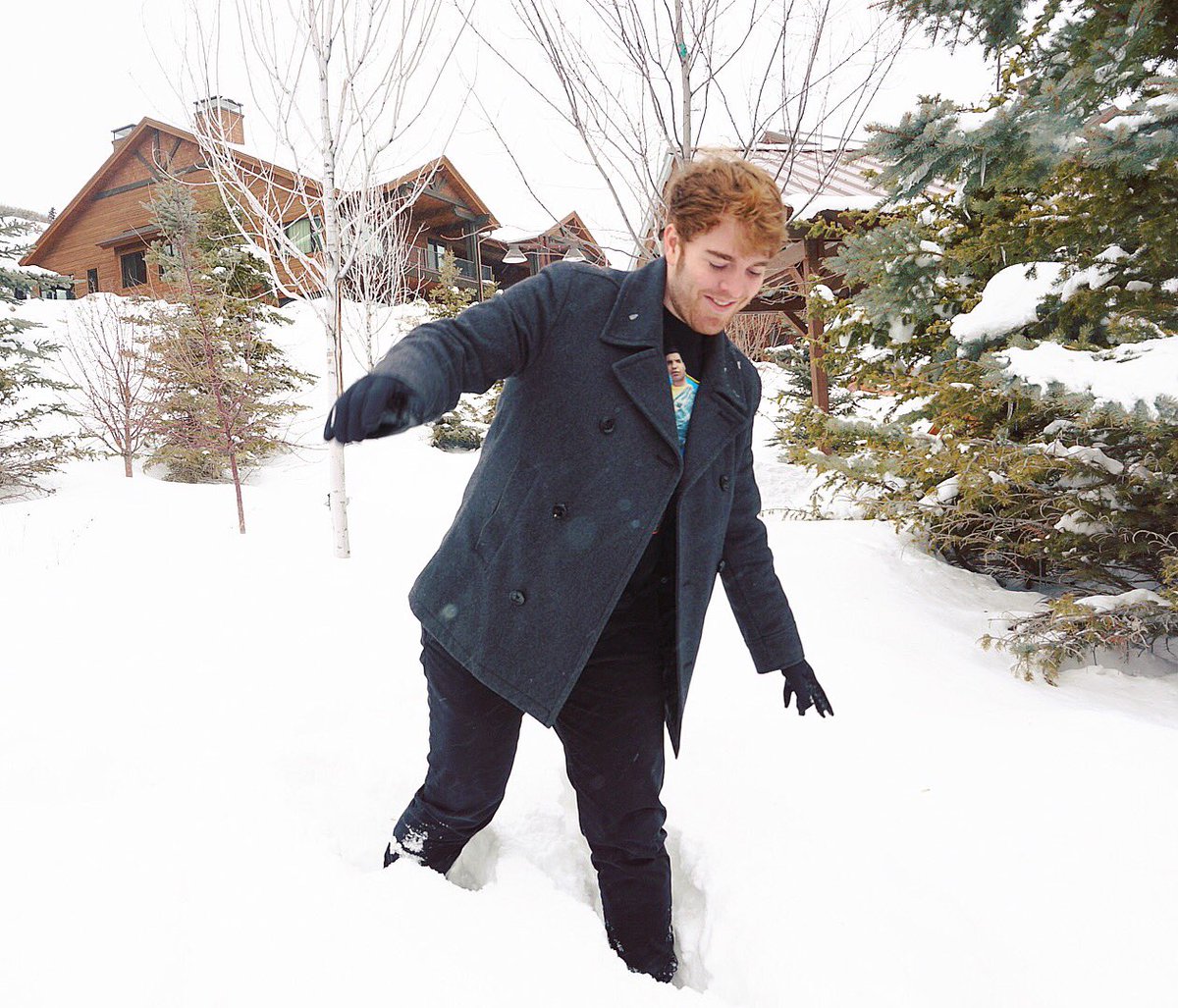 Shane Dawson tweet media