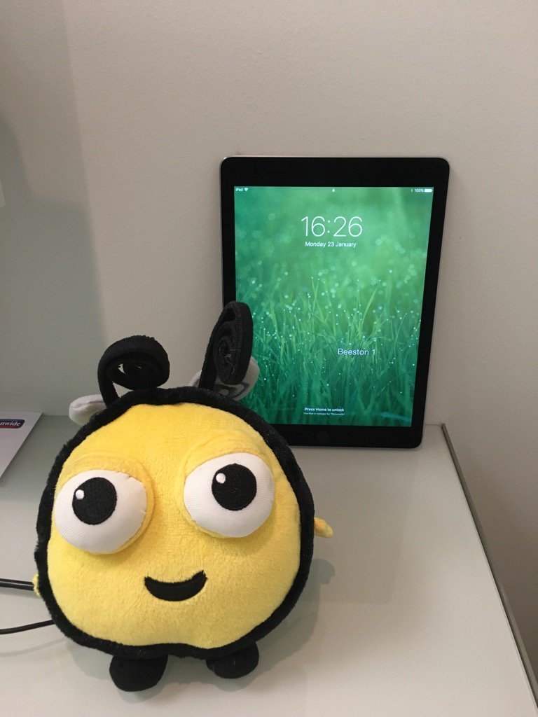 adrianroberts15's tweet photo. Newest addition to the #BeestonFamily #BrianTheBee #FutureBranch #Mascot @DanielG_NBS @NishaDraycott @NBSEastMidYorks https://t.co/0aYAzyIiiN