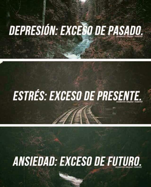 Cristian Soliss tweet media