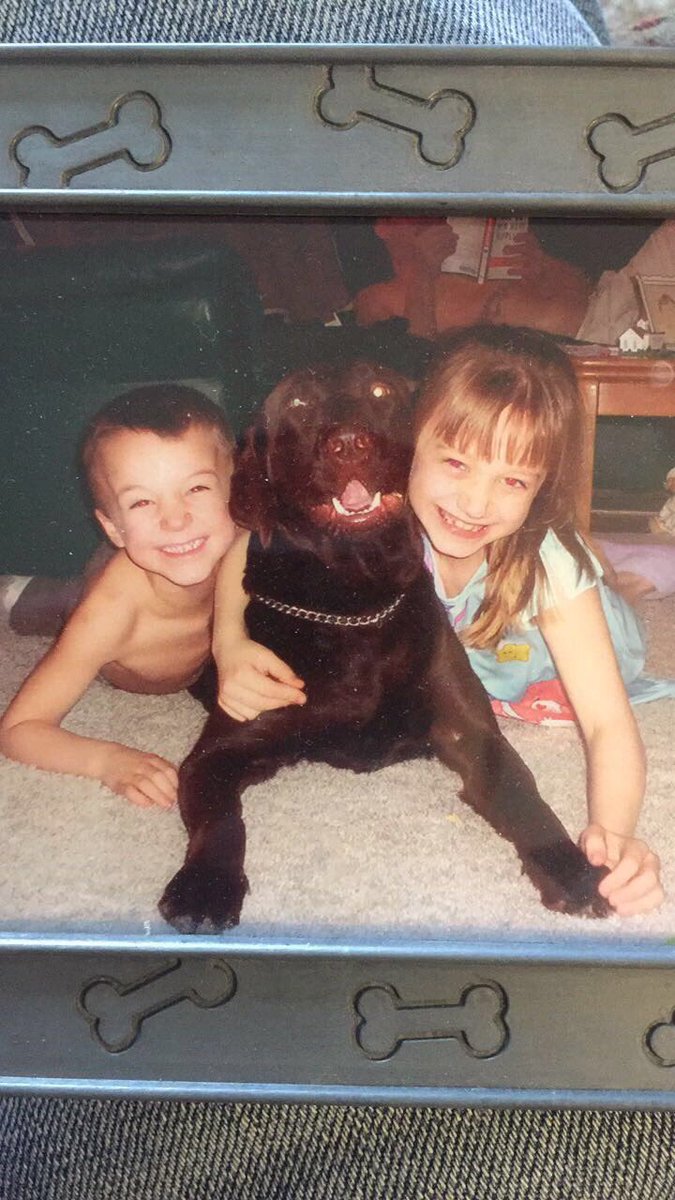 7tommy_boy7's tweet photo. I know you went last night but I just hope you Rest In Peace buddy. I would've taken 1,000 bullets for you. Love you Briar! https://t.co/djuVs73mYy