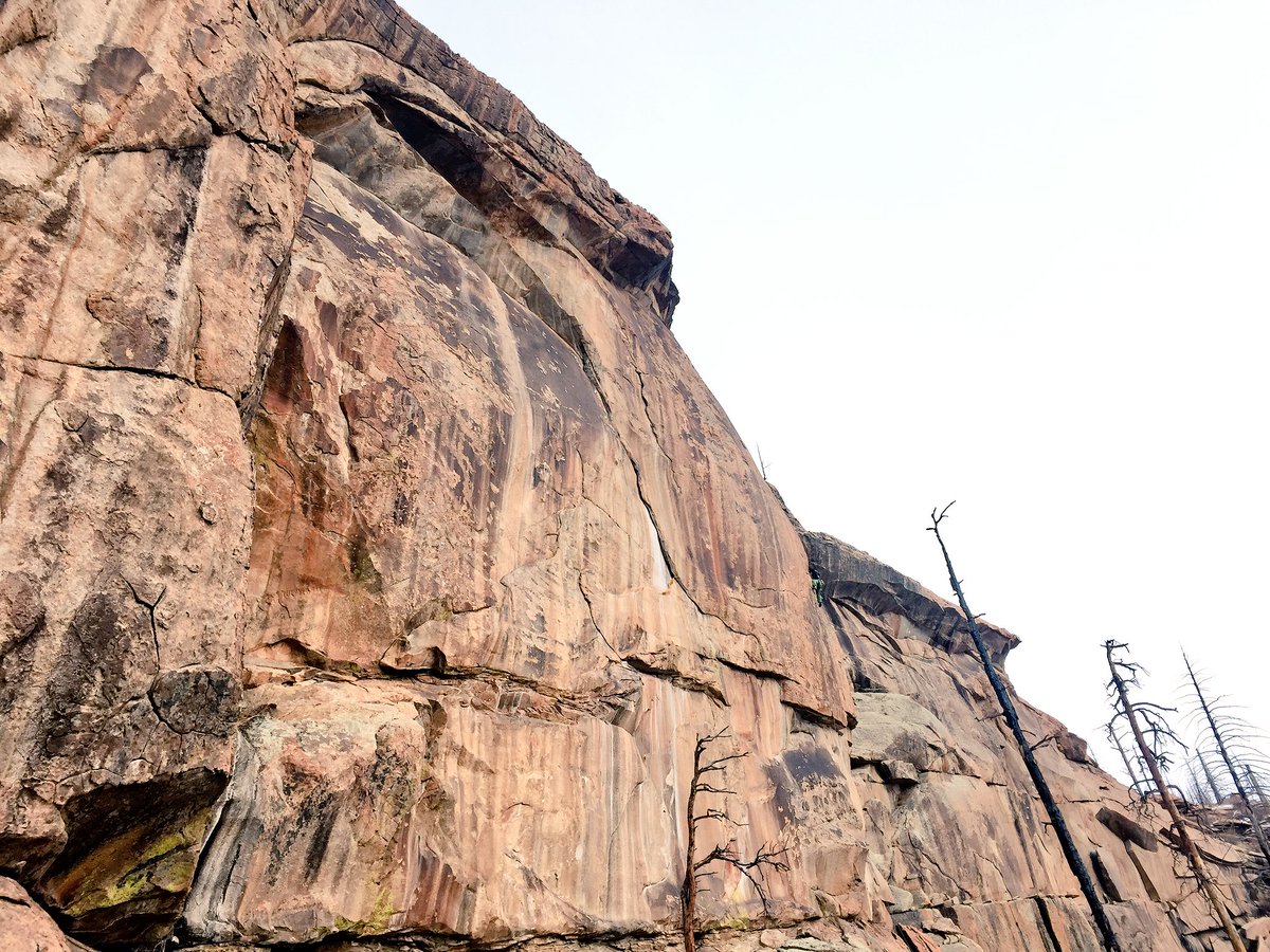 Jon Cardwell tweet media