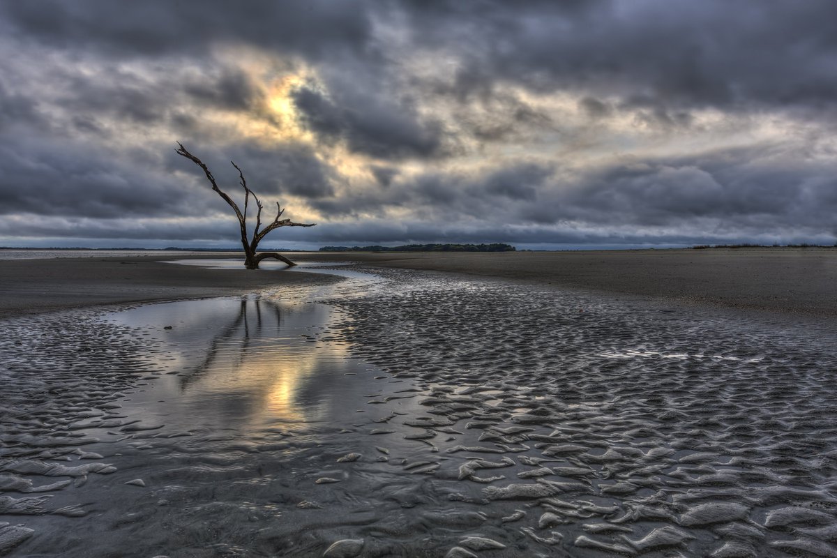 Enter your wildlife or scenic landscape photos in the S.C. Wildlife/Hampton Wildlife Fund photo contest by Feb. 15! bit.ly/2fc3ijo