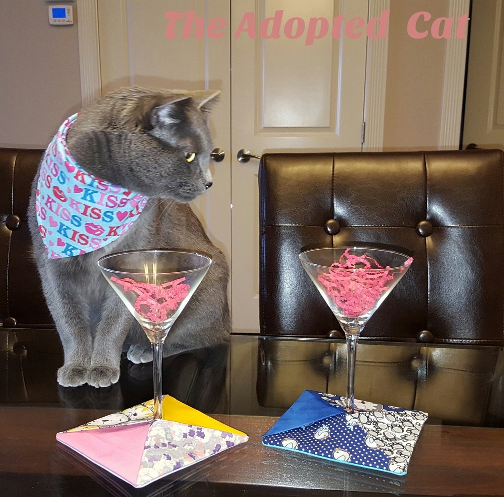 GatsbyRescuecat's tweet image. Wanna drink with me?

#cat #cataccessories #catcoasters