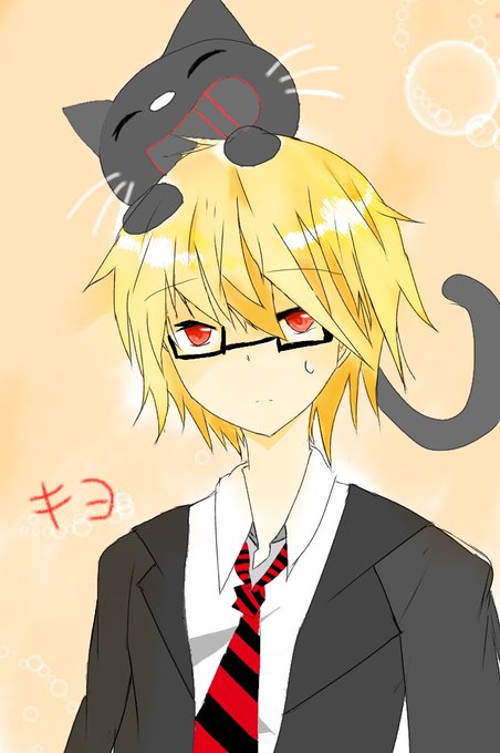 たぬき キヨ