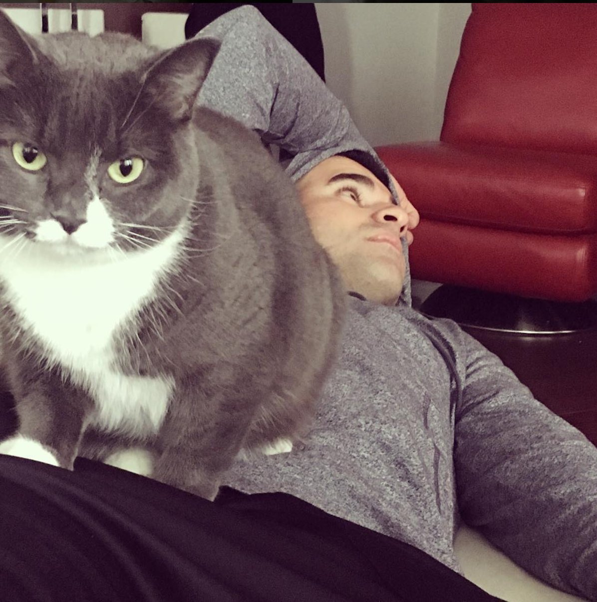 C24A0MVXcAESXzY.jpg:large