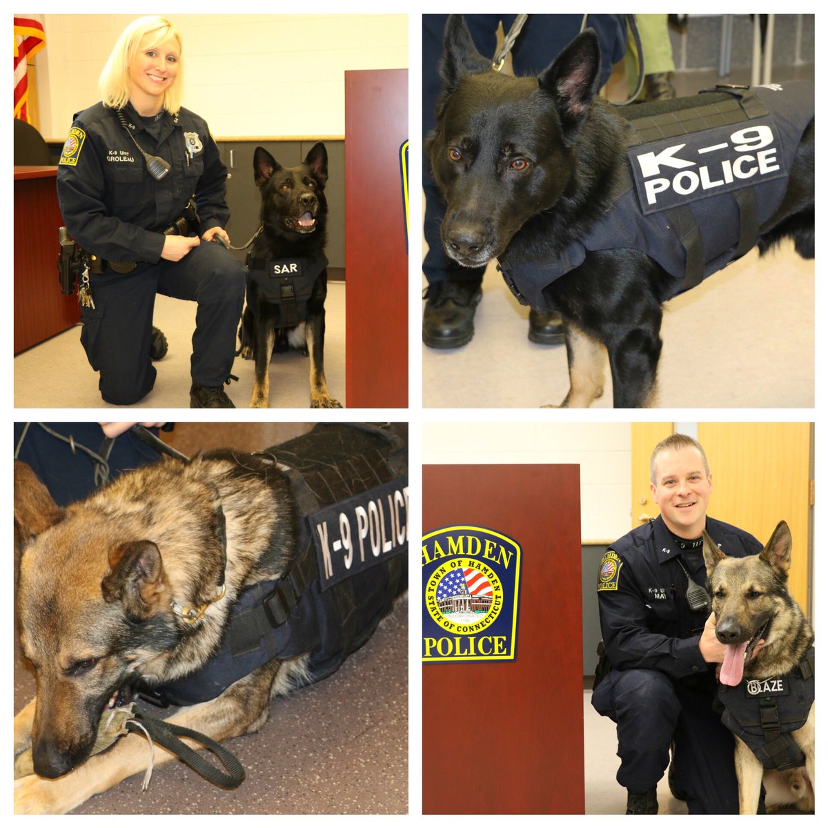 HAMDENPOLICECT's tweet photo. K9 Sar &amp; K9 Blaze receive ballistic vests from donations and fundraiser sponsored by Lee Baldieri of the American Wine Society. https://t.co/jM4WIjpL4U