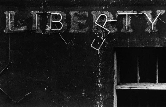 u t k u tun tweet media