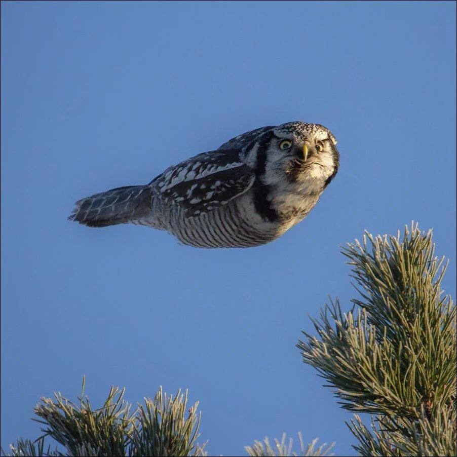 incredibleviews's tweet photo. Perfect timing! https://t.co/Jd5v1Qs5zJ