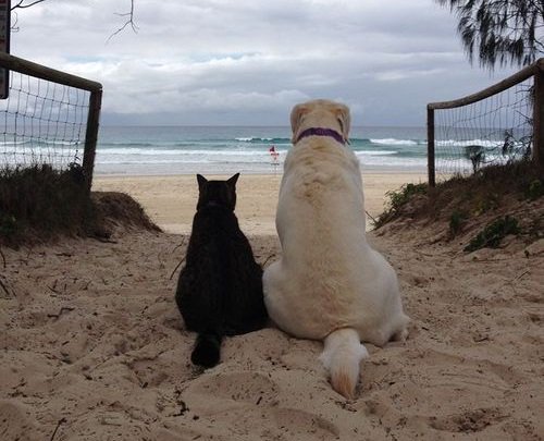 SurftheLost's tweet image. The sand may brush off. The salt may wash away. The tans may fade, but the memories will last forever.