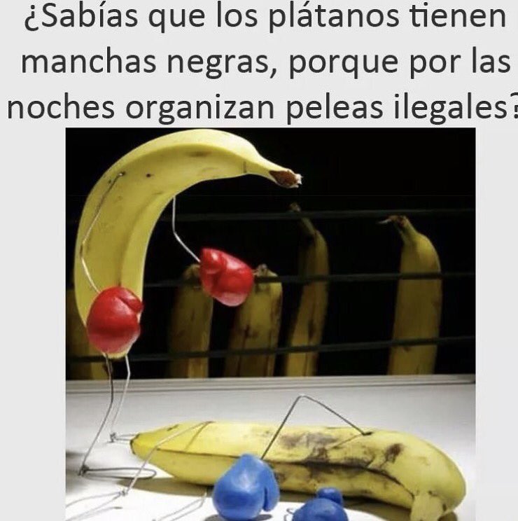 sabiastuque_'s tweet photo. 😂😂😂😂 https://t.co/pLPmasZWw2