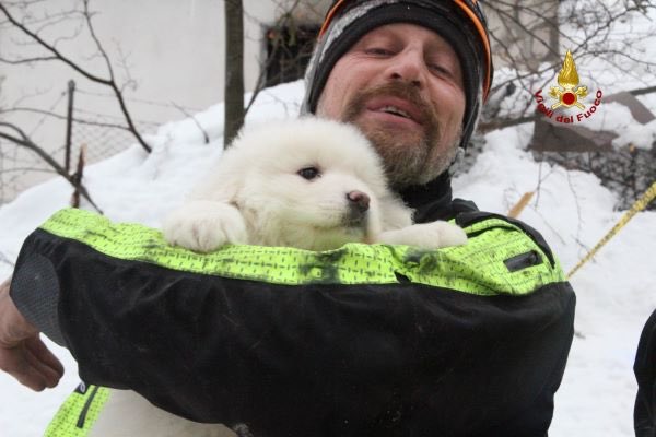 Il coraggio, la forza e l'umanita' di questi EROI #orgoglionazionale #rigopiano♥️ immagini toccanti e commoventi👏🏻🐶salvati anche 3 cuccioli