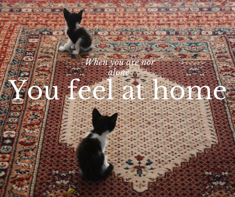Monday inspiration #Homedecor #rugs