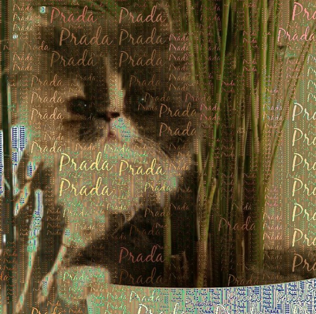 ReasonToLoveEJC's tweet photo. R. I. P. Prada #RipPrada 💔💔 https://t.co/TxLQwax8UE