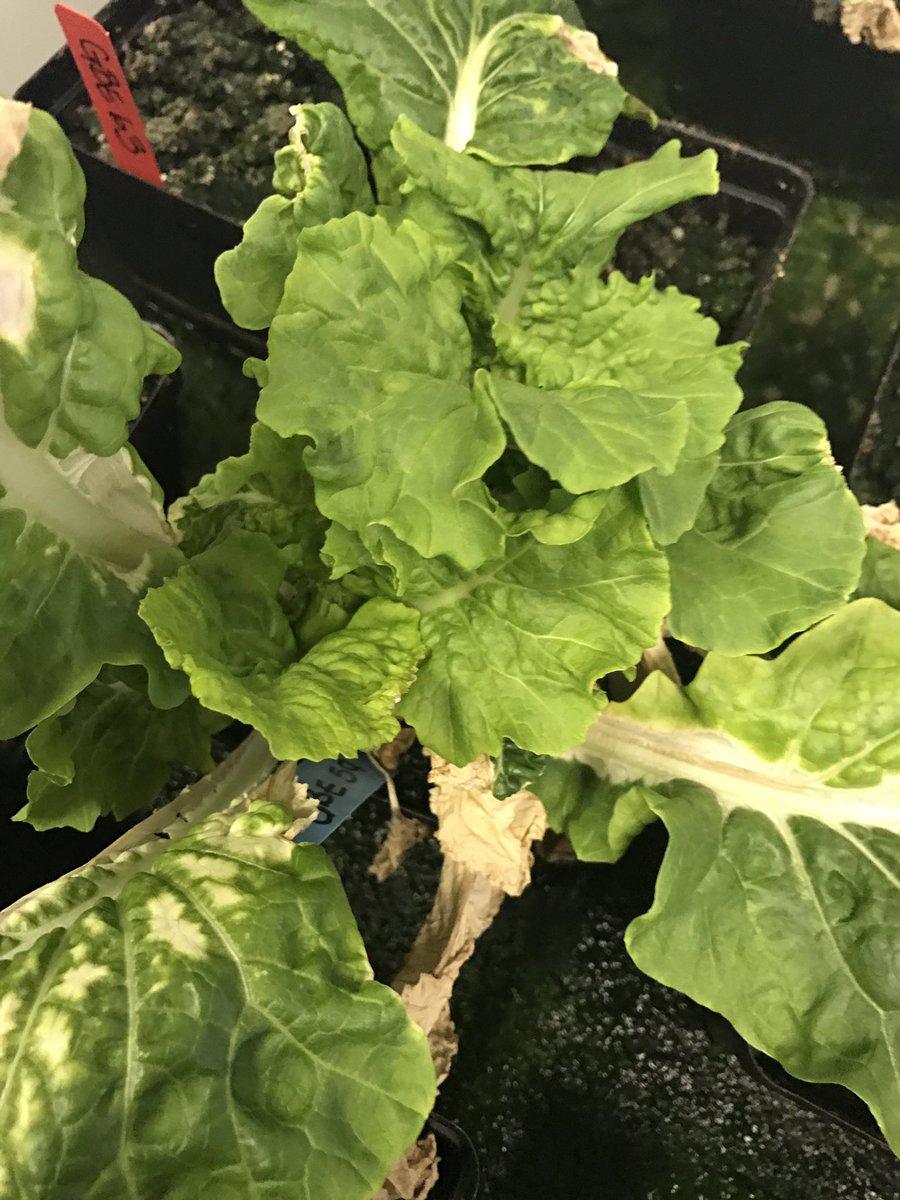 Ready for astronauts to eat in space.