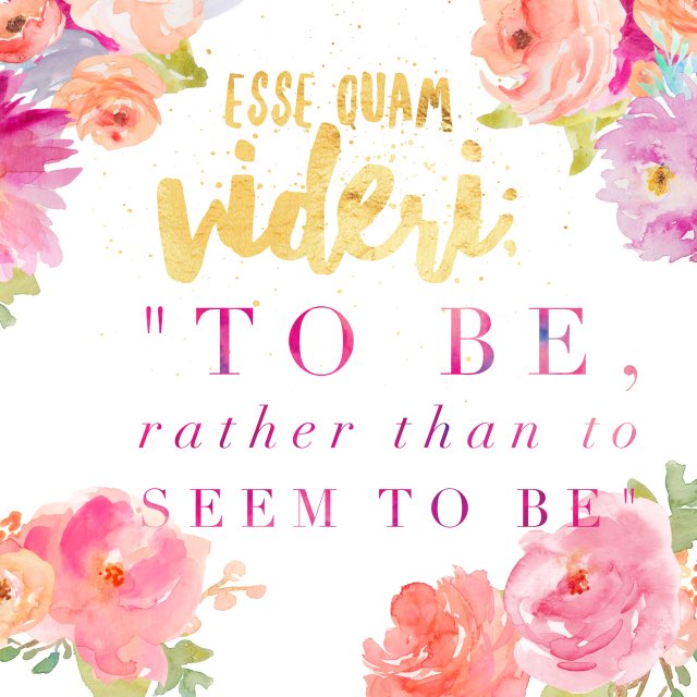 TSUDPHIE's tweet image. ••justice,sisterhood,love•• #dphie100